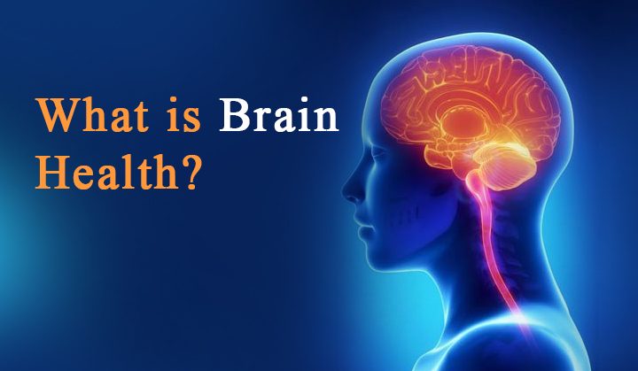 What is Brain