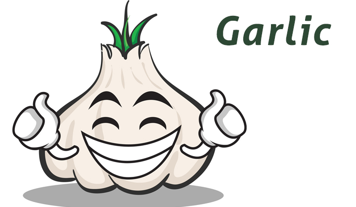 Garlic