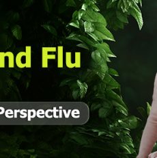 The Link Between Stress and Flu: Managing Both with Naturopathic Perspective