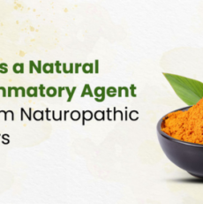 Turmeric as a Natural Anti-Inflammatory Agent: Insights from Naturopathic Practitioners